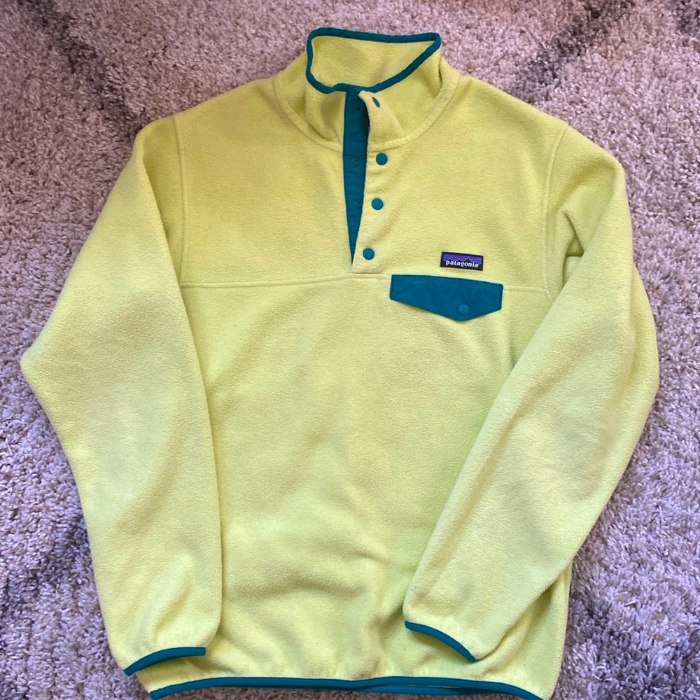 Patagonia Synchilla Fleece